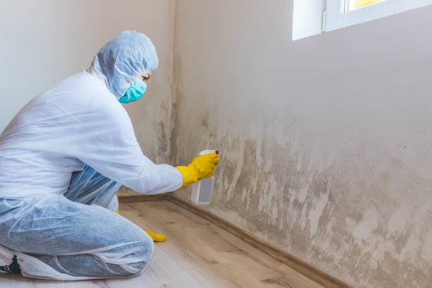 Mold Remediation specialist working in Sproul